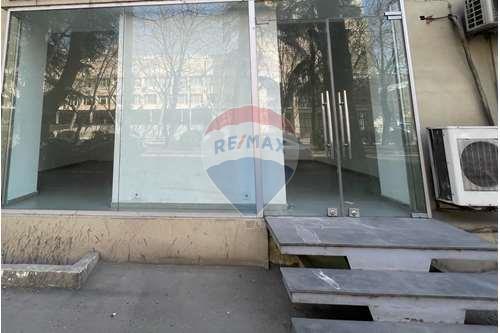 For Rent/Lease-Office Over Retail-Tbilisi-105003056-69