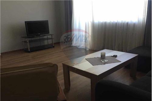 For Rent/Lease-Condo/Apartment-Tbilisi-105003022-2178