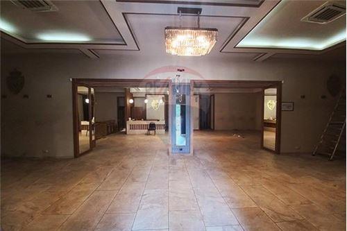For Sale-Office Over Retail-Tbilisi-105004026-2663