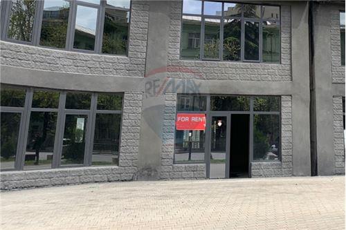 For Rent/Lease-Commercial/Retail-Tbilisi-105003024-2547