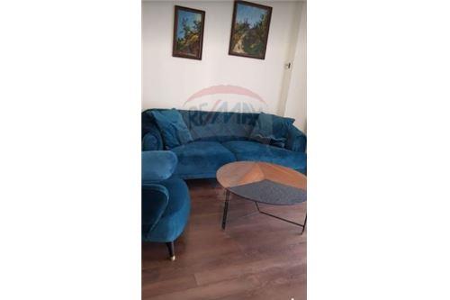 For Rent/Lease-Condo/Apartment-Tbilisi-105003024-2410