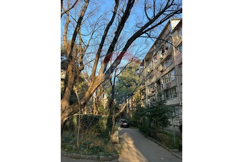 Tbilisi