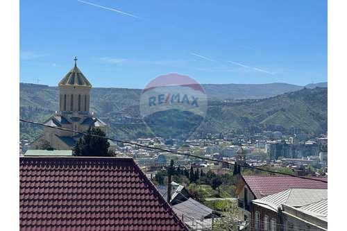 For Sale-Plot of Land for Hospitality Development-Tbilisi-105003056-153
