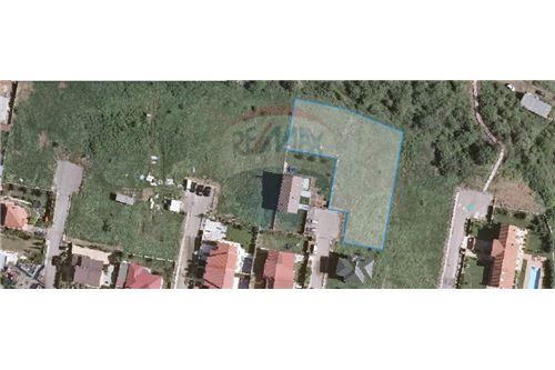 For Sale-Land-Tbilisi-105003024-2642