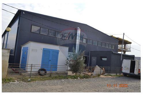 For Sale-Warehouse-Tbilisi-105004060-47