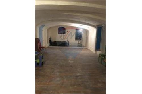For Sale-Commercial/Retail-Tbilisi-105004056-1441
