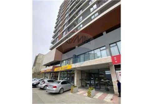 For Rent/Lease-Condo/Apartment-Tbilisi-105004056-1410