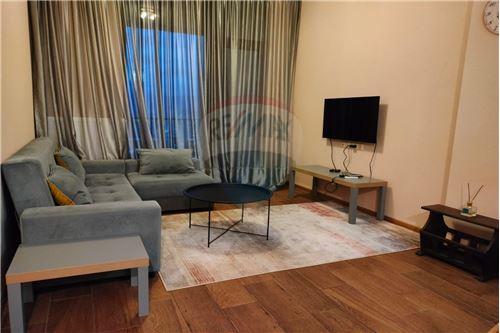 For Rent/Lease-Condo/Apartment-Tbilisi-105004011-6048