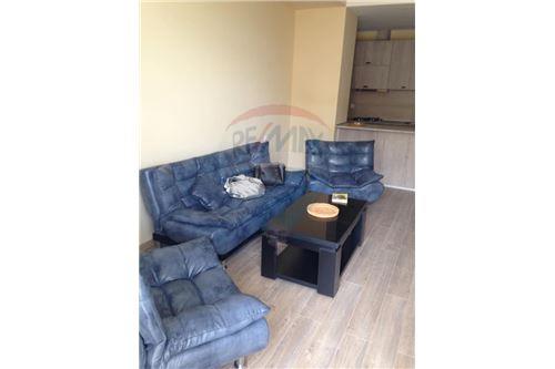 For Rent/Lease-Condo/Apartment-Tbilisi-105004056-1283