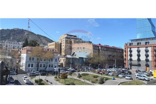 For Sale-Hotel-Tbilisi-105004011-6139