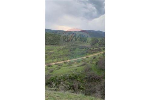 For Sale-Land-Tbilisi-105004056-1384