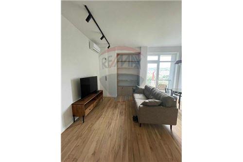 For Rent/Lease-Condo/Apartment-Tbilisi-105003022-2184