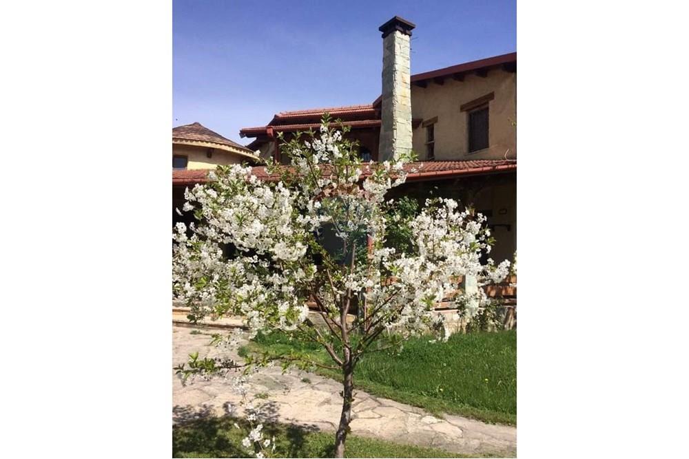 Residential - 주택 - თბილისი - GE - 451477111_10160966154607334_4221397511978888580_n.jpg - 105004011-7036