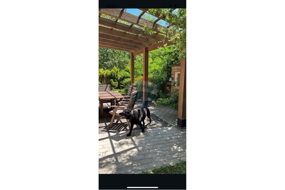 Rezidential - Case/Vile - თბილისი - GE - 37bb4ce7-daf6-4f05-a1c2-55bcbd191a56.jpg - 105004065-781