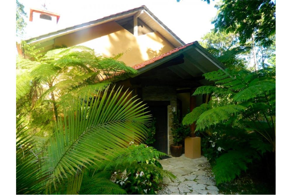  Plot of Land for Hospitality Development JARABACOA, Dominican