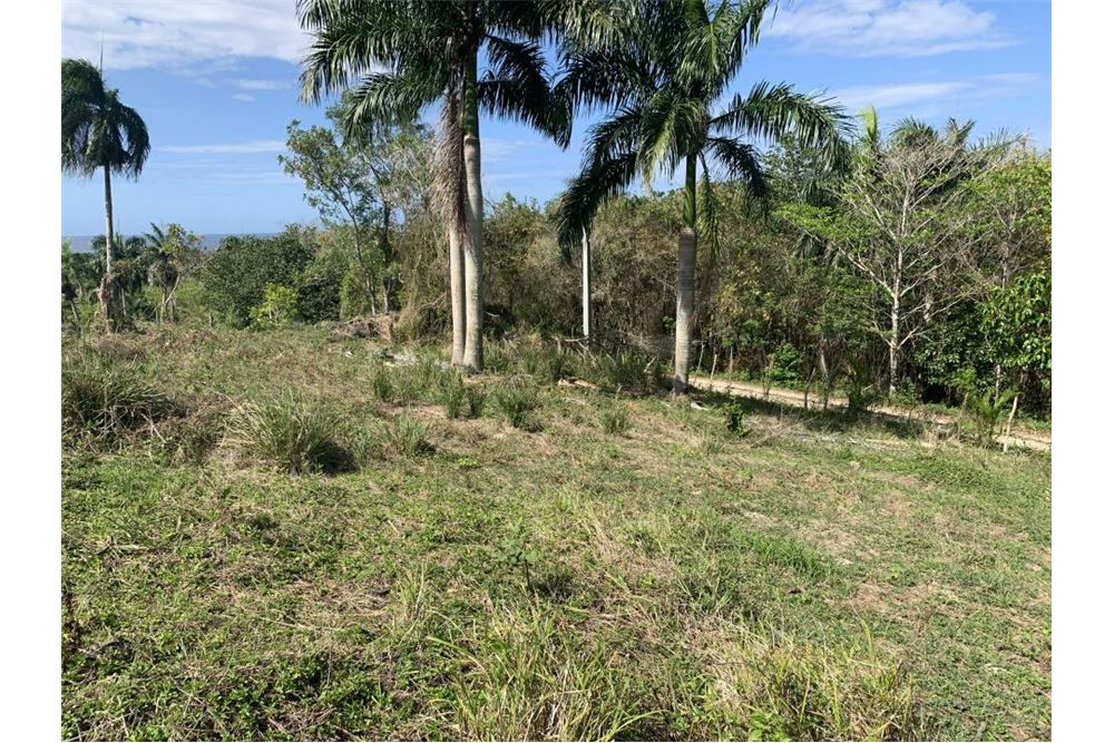  Terreno GASPAR HERNÁNDEZ, República Dominicana Dominican Republic