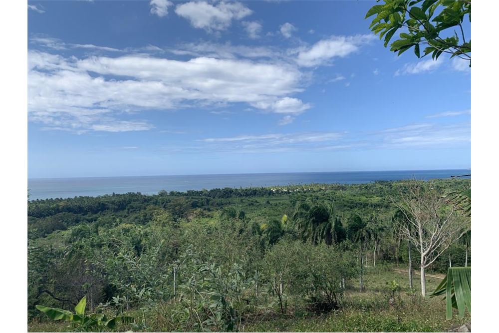  Land GASPAR HERNÁNDEZ, Dominican Republic Dominican Republic