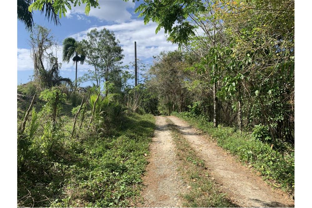  Terreno GASPAR HERNÁNDEZ, República Dominicana Dominican Republic