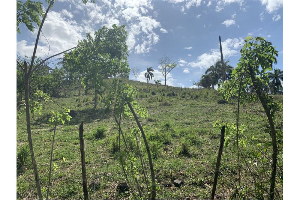  Terreno GASPAR HERNÁNDEZ, República Dominicana Dominican Republic