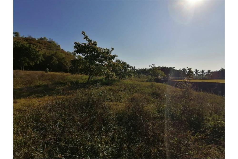  Land SANTO DOMINGO NORTE, Dominican Republic Dominican Republic