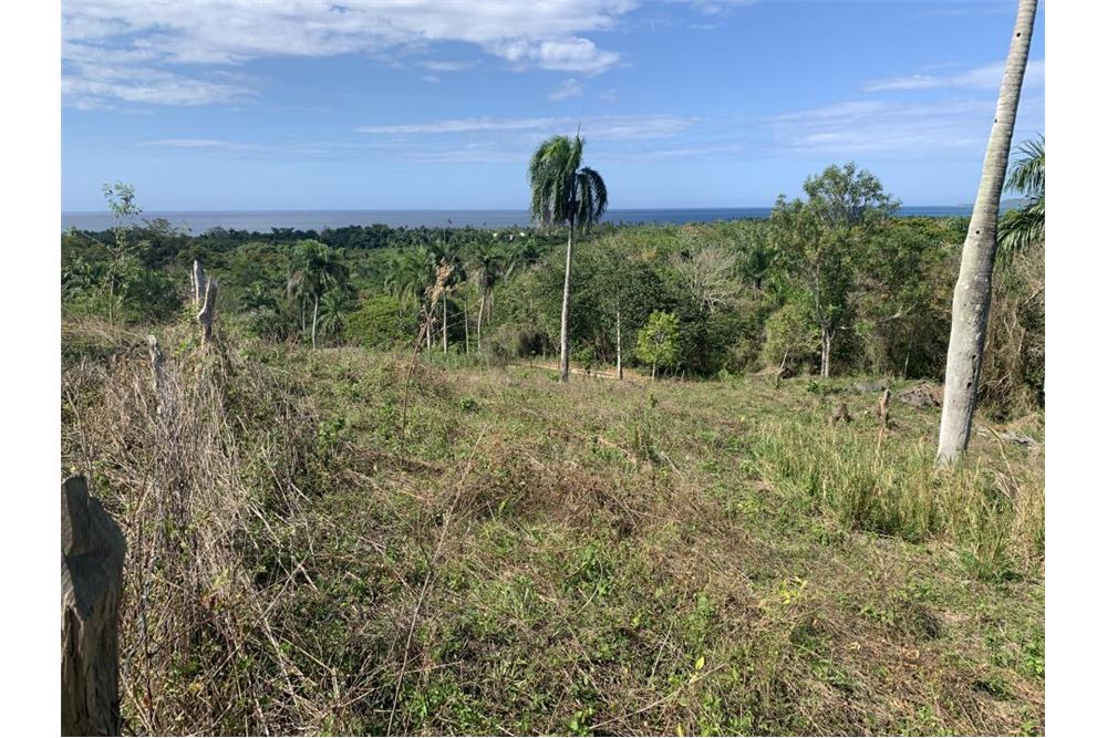  Terreno GASPAR HERNÁNDEZ, República Dominicana Dominican Republic