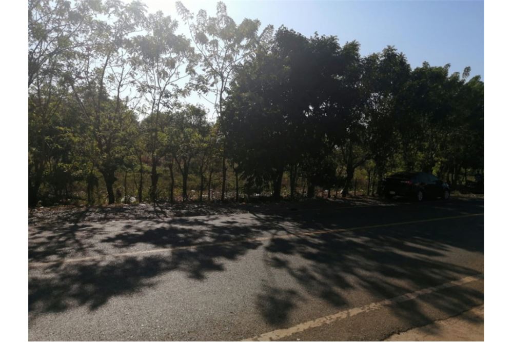  Land SANTO DOMINGO NORTE, Dominican Republic Dominican Republic