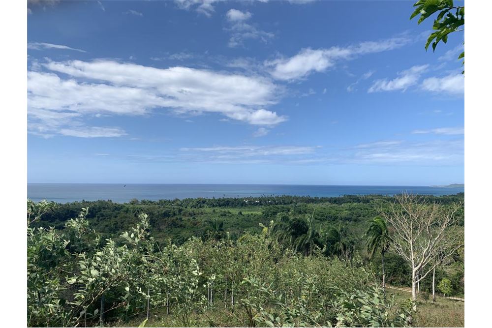  Land GASPAR HERNÁNDEZ, Dominican Republic Dominican Republic