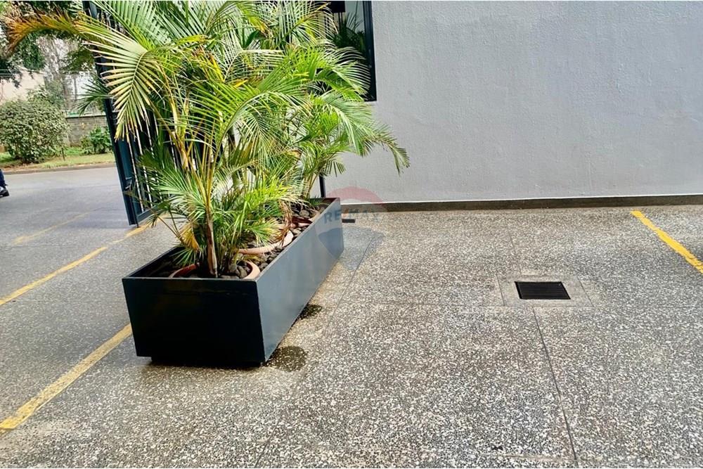 Show Room - For Rent/Lease - Westlands - IMG-20250815-WA0043.jpg - 106003100-223