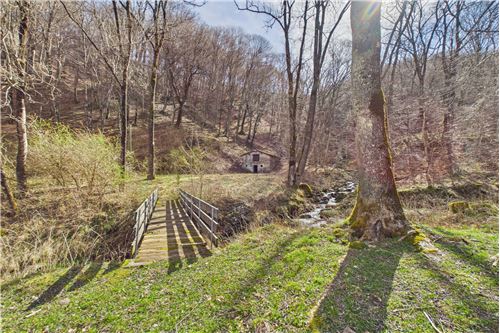 Kauf-Einfamilienhaus-Certara, Tessin-119001076-169