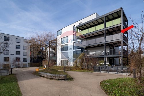 Kauf-Wohnung-Zürichstrasse 58 b  -  Hinwil, Zürich-110460007-1306