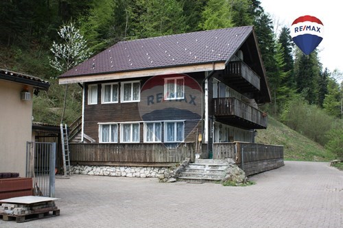 Kauf-Haus mit Gewerbeanteil-Steinenbachstrasse 40/42  -  Sternenberg, Zürich-110161022-329