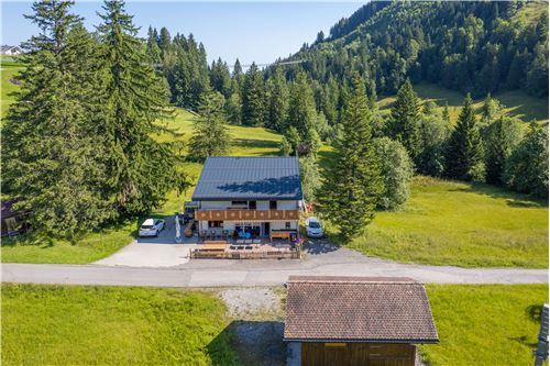 Kauf-Haus mit Gewerbeanteil-Sattel, Schwyz-119871001-107
