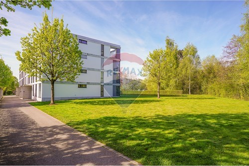 Kauf-Wohnung-Zollikofen, Bern-119621006-303