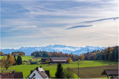 Kauf-Einfamilienhaus-Schönenwerdstrasse 72  -  Wetzikon ZH, Zürich-118761005-224