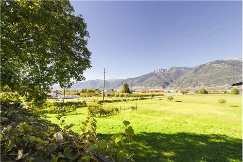 Kauf-Einfamilienhaus-Cadenazzo, Tessin-119001091-40