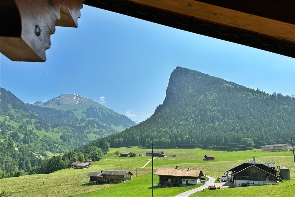 Mehrfamilienhaus - Kauf - Horboden, Bern - 38 - 119121019-416