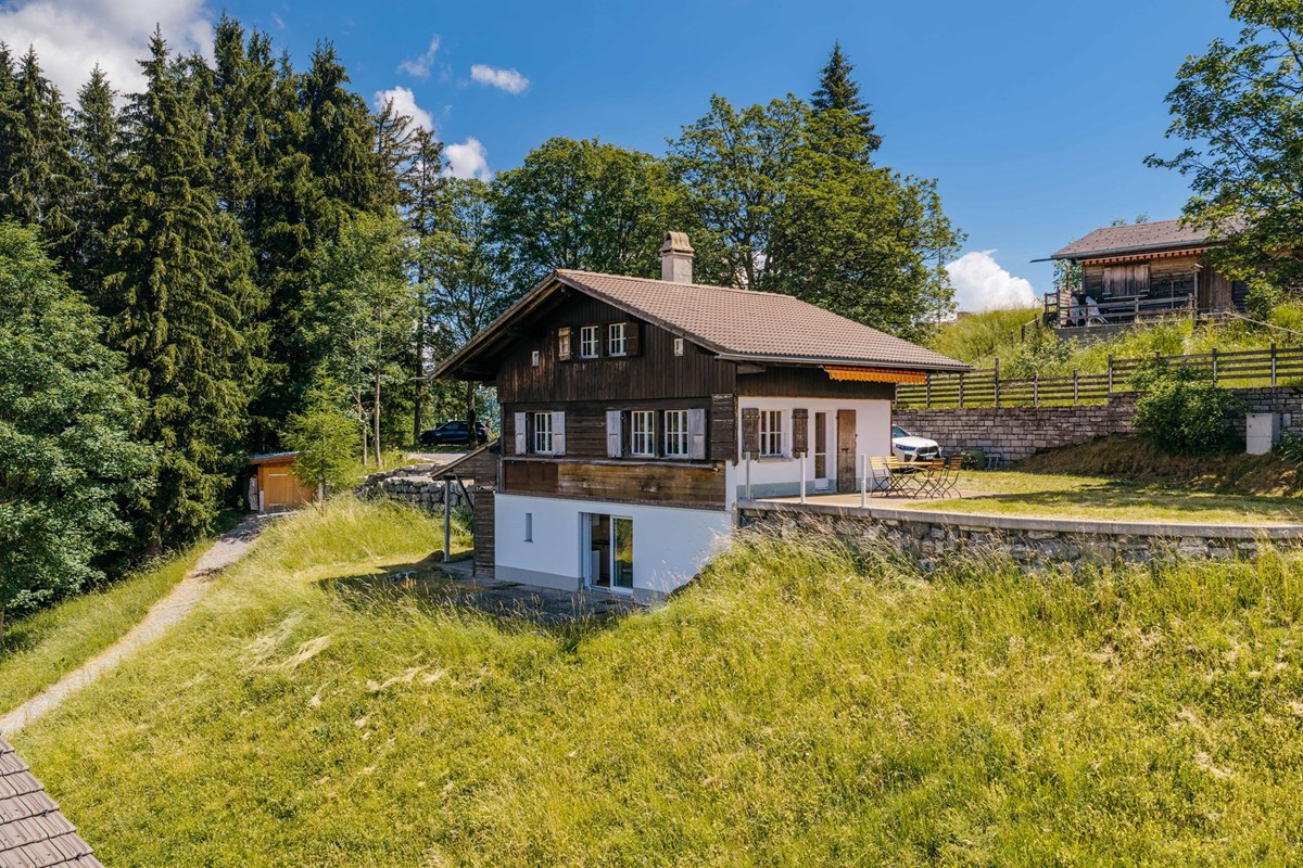 Einfamilienhaus - Kauf - Axalp, Bern - DJI_20260702175644_0316_D.jpg - 111211001-124