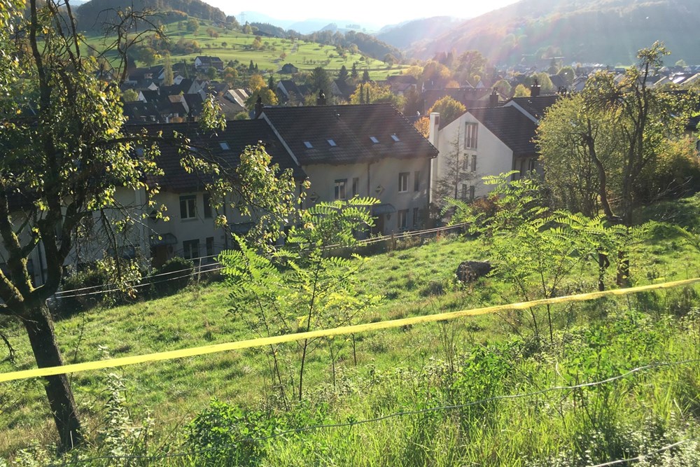 Einfamilienhaus - Kauf - Ziefen, Basel-Landschaft - ZIEFEN-14.jpg - 118921009-378