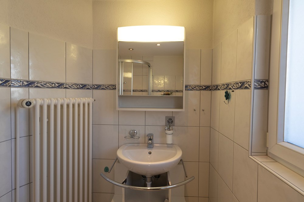Einfamilienhaus - Kauf - Zetzwil, Aargau - EG Bad.jpg - 111301001-4
