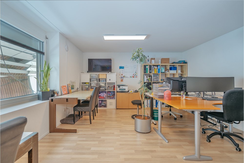 Einfamilienhaus - Kauf - Niederwil, Aargau - WIESE04-10.1.jpg - 118921009-370