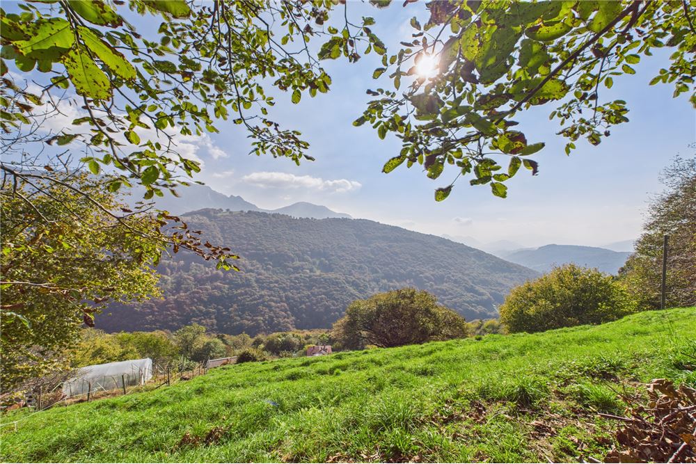 Prédio Habitacional - Lote de terra para construção - Bidogno, Tessin - CH - 1 - 119001086-44