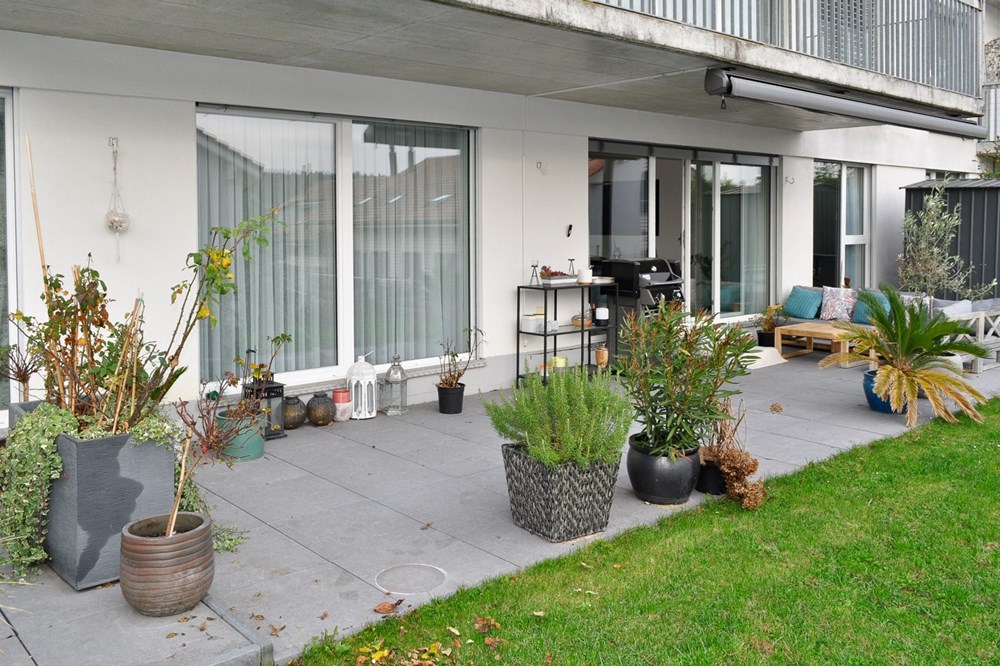 Wohnung - Kauf - Sutz, Bern - _DSC1719.jpg - 111221001-9