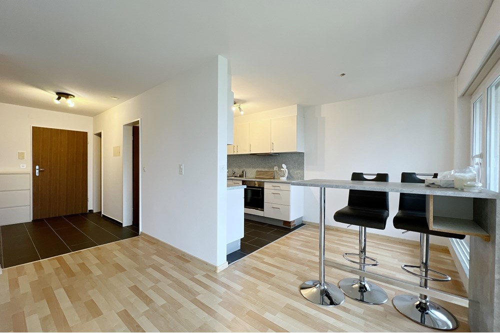 Wohnung - Kauf - Gebenstorf, Aargau - IMG_9423.JPG - 110050043-32