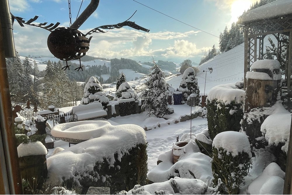 Chalet - Kauf - Dicken bei Degersheim, St. Gallen - IMG_1206.jpeg - 119901001-78