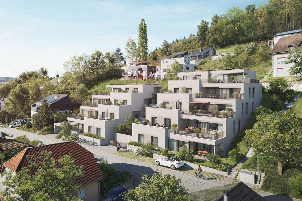 Maisonette - Kauf - Etzgen, Aargau - Terrassenwohnungen Etzgen rebmattstrasse remax brugg kaufen.jpg - 115360003-554