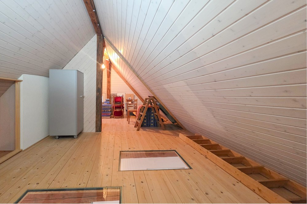 Einfamilienhaus - Kauf - Schinznach Dorf, Aargau - 20251029_155832.JPG - 119241016-289