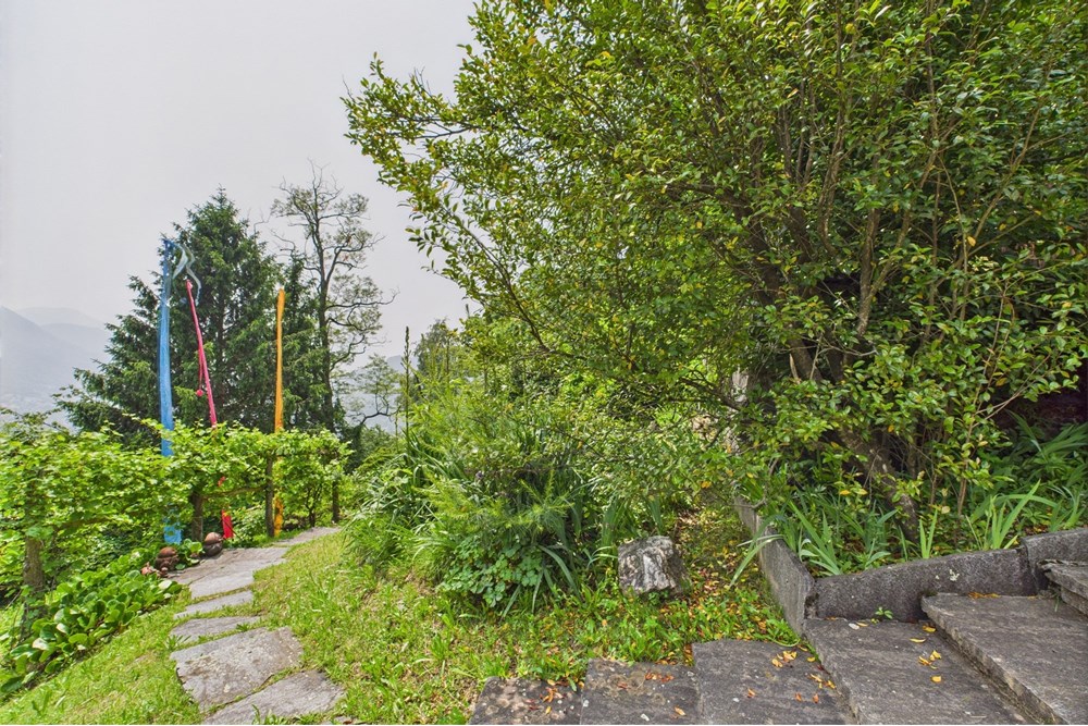 Einfamilienhaus - Kauf - Roveredo, Tessin - CAM02262G0-PR0517-STILL006.jpg - 119001050-293