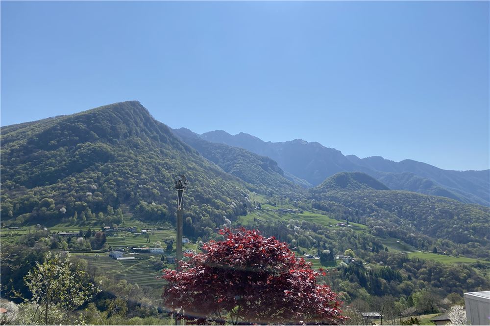 Villa - Kauf - Lugano, Tessin - 52 - 119921001-373