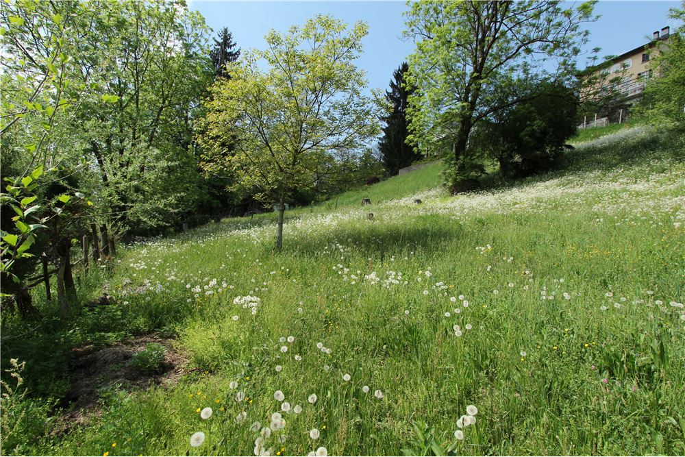 Residencial - Terreno Edificable - Ponte Cremenaga, Tessin - CH - 35 - 119001001-2879