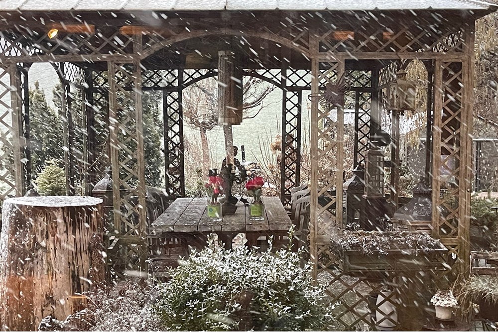 Chalet - Kauf - Dicken bei Degersheim, St. Gallen - IMG_2015.JPG - 119901001-78